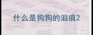 什么是狗狗的泪痕