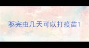 驱完虫几天可以打疫苗
