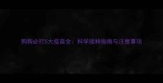 狗狗必打5大疫苗全科学接种指南与注意事项