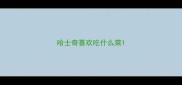 哈士奇喜欢吃什么菜