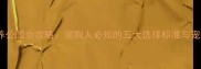 上海专业狗狗寄养公园全攻略遛狗人必知的五大选择标准与宠物乐园服务指南