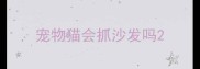 宠物猫会抓沙发吗