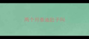 两个月泰迪肚子叫
