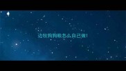 边牧狗狗粮怎么自己做