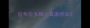拉布拉多脚上真菌感染