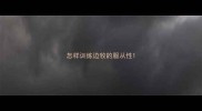 怎样训练边牧的服从性
