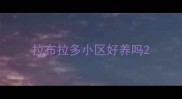 拉布拉多小区好养吗