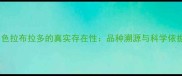 白色拉布拉多的真实存在性品种溯源与科学依据