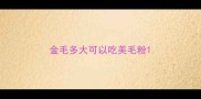 金毛多大可以吃美毛粉