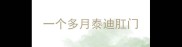 一个多月泰迪肛门