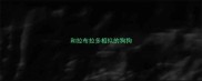 和拉布拉多相似的狗狗