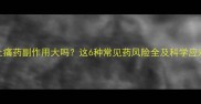 狗狗止痛药副作用大吗这6种常见药风险全及科学应对指南
