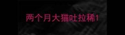 两个月大猫吐拉稀