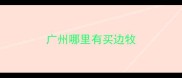广州哪里有买边牧
