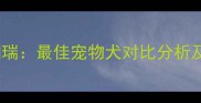 边牧VS雪纳瑞最佳宠物犬对比分析及饲养指南