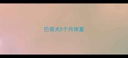 巴哥犬5个月体重