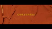边牧嘴上颚有黑色