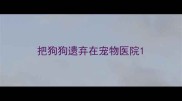 把狗狗遗弃在宠物医院