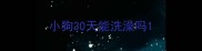 小狗30天能洗澡吗