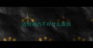 边牧视力不好什么原因