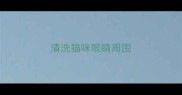 清洗猫咪眼睛周围