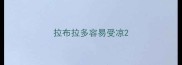 拉布拉多容易受凉