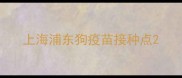 上海浦东狗疫苗接种点
