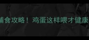 拉布拉多幼犬辅食攻略鸡蛋这样喂才健康附详细食谱