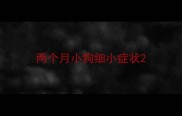 两个月小狗细小症状