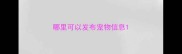 哪里可以发布宠物信息