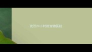 武汉24小时的宠物医院