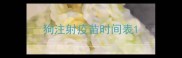 狗注射疫苗时间表