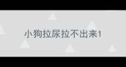 小狗拉尿拉不出来