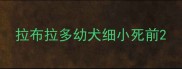拉布拉多幼犬细小死前
