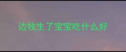 边牧生了宝宝吃什么好