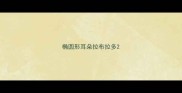 椭圆形耳朵拉布拉多