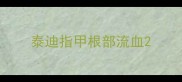泰迪指甲根部流血