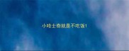 小哈士奇就是不吃饭