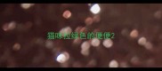 猫咪拉绿色的便便