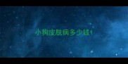 小狗皮肤病多少钱