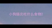 小狗肠炎吃什么食物