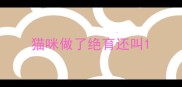 猫咪做了绝育还叫