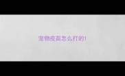 宠物疫苗怎么打的