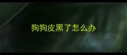 狗狗皮黑了怎么办