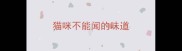 猫咪不能闻的味道