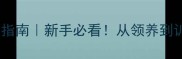 哈士奇饲养指南新手必看从领养到训练全攻略