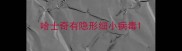 哈士奇有隐形细小病毒