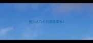 格力犬几个月速度最快