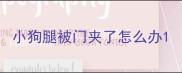 小狗腿被门夹了怎么办
