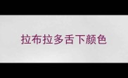 拉布拉多舌下颜色